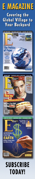 emagazine3.jpg