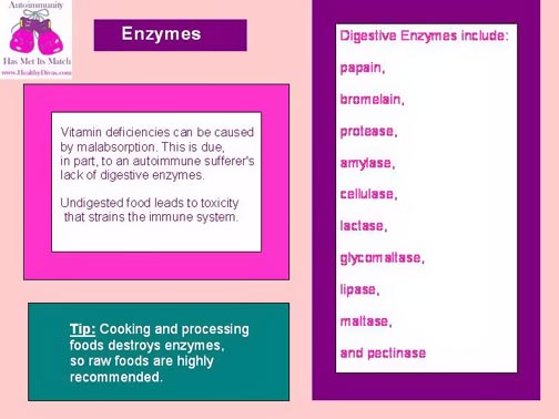 enzymes.jpg